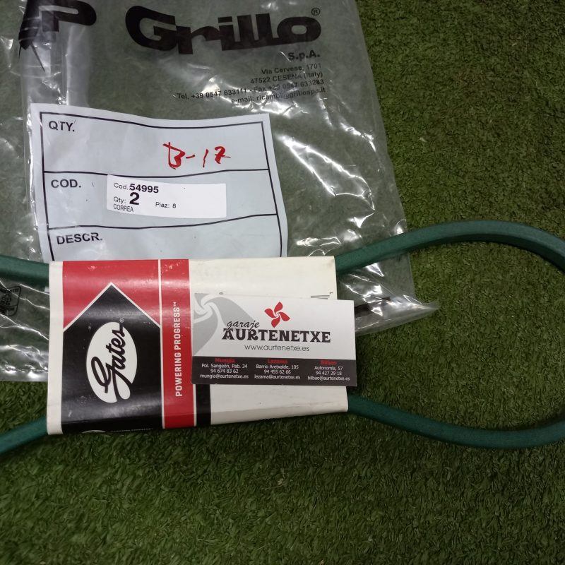 CORREA GRILLO 54995