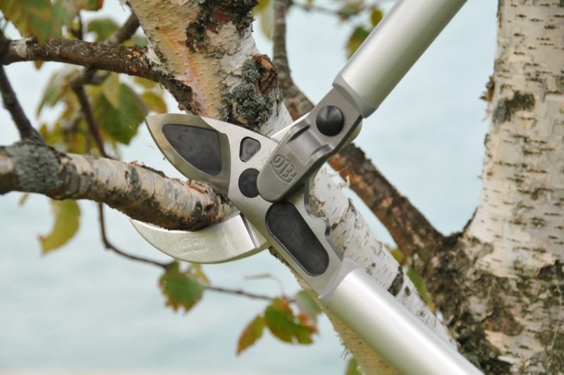 Tijeras de poda FELCO 231 - Imagen 3