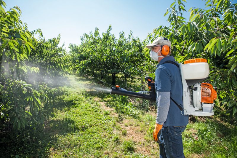 Atomizador STIHL SG 200 - Imagen 2